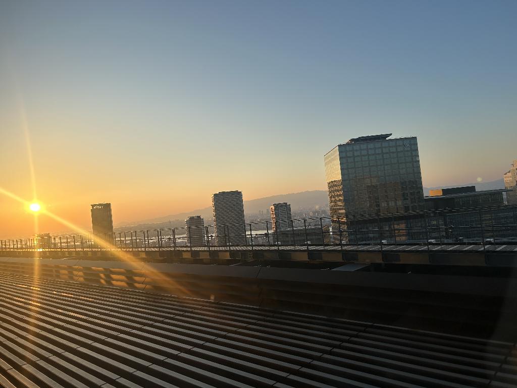 桜庭こはく