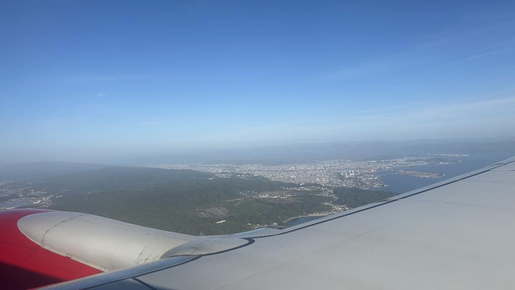 桜庭こはく