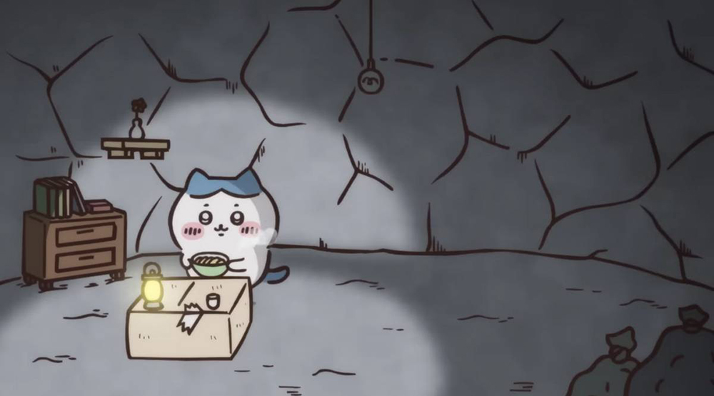 ハチワレの暮らし